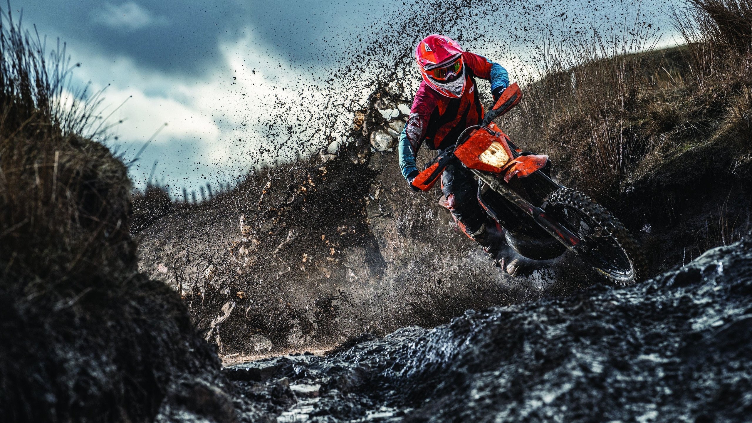 《DOTA2》青训队:年轻选手的成长之路与挑战,dota2青年训练营